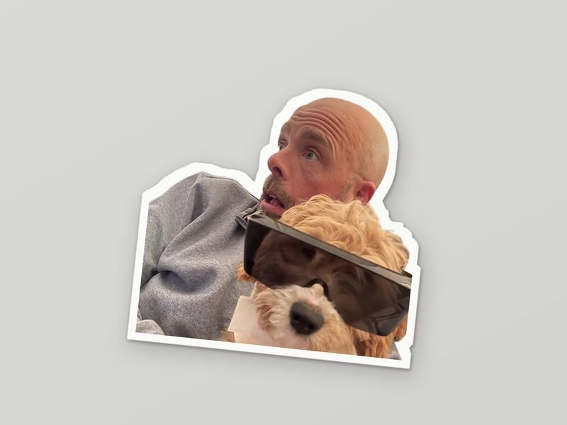 Die-cut sticker: a selfie with a fluffy dog wearing sunglasses